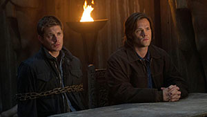 Защищая свою жизнь