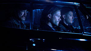 Думаю, я здесь приживусь