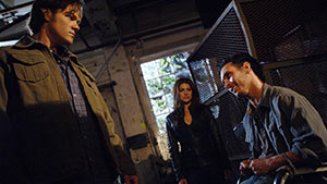 Метаморфозы